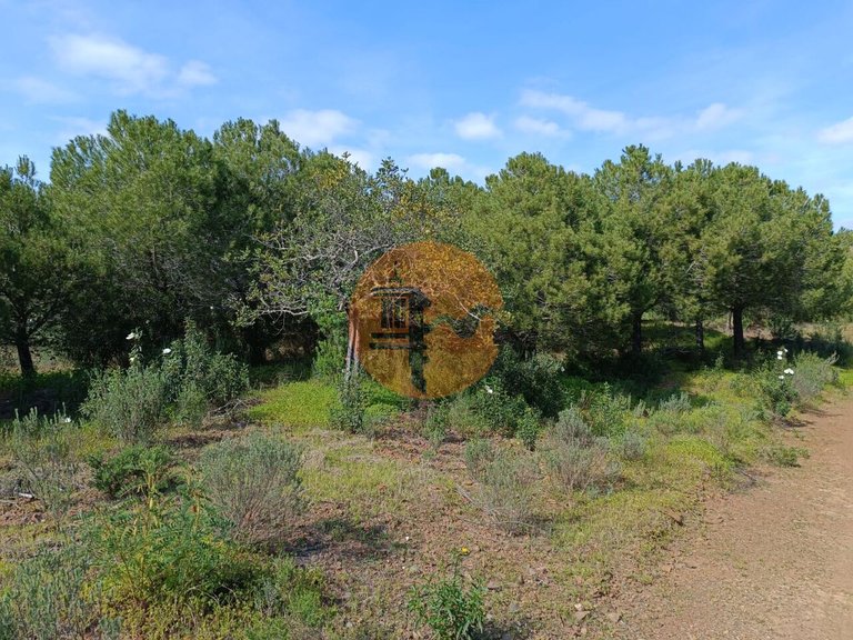 Plot for Sale in Azinhal, Castro Marim, Portugal 16