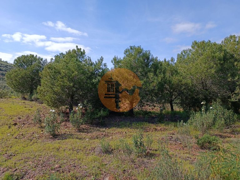 Plot for Sale in Azinhal, Castro Marim, Portugal 17