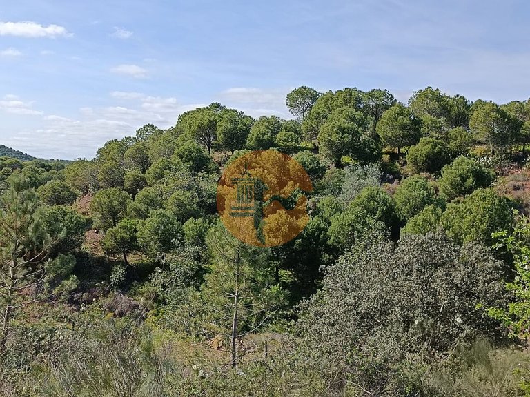 Plot for Sale in Azinhal, Castro Marim, Portugal 18