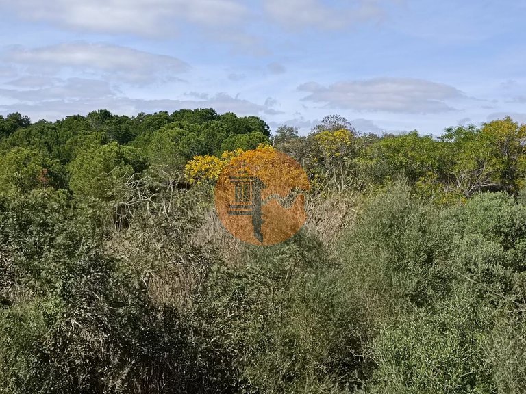Plot for Sale in Azinhal, Castro Marim, Portugal 21