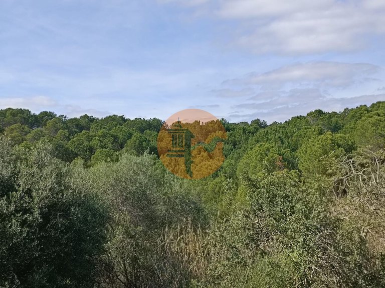 Plot for Sale in Azinhal, Castro Marim, Portugal 22