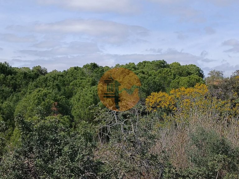 Plot for Sale in Azinhal, Castro Marim, Portugal 26