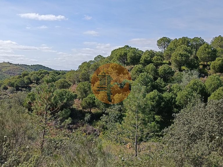 Plot for Sale in Azinhal, Castro Marim, Portugal 28