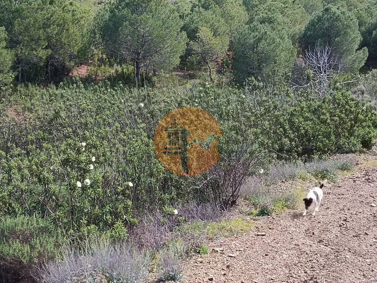 Plot for Sale in Azinhal, Castro Marim, Portugal 20