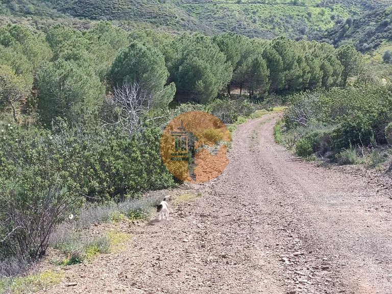 Plot for Sale in Azinhal, Castro Marim, Portugal 29