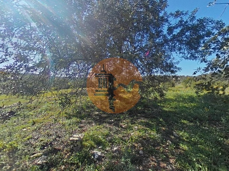 Plot for Sale in Estoi, Algarve, Portugal 3