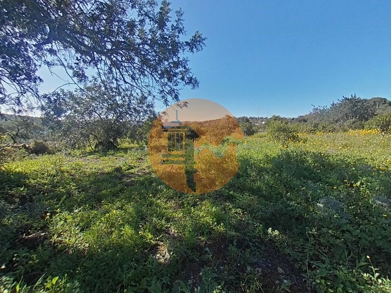 Plot for Sale in Estoi, Algarve, Portugal 4