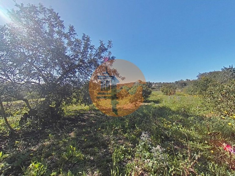 Plot for Sale in Estoi, Algarve, Portugal 6