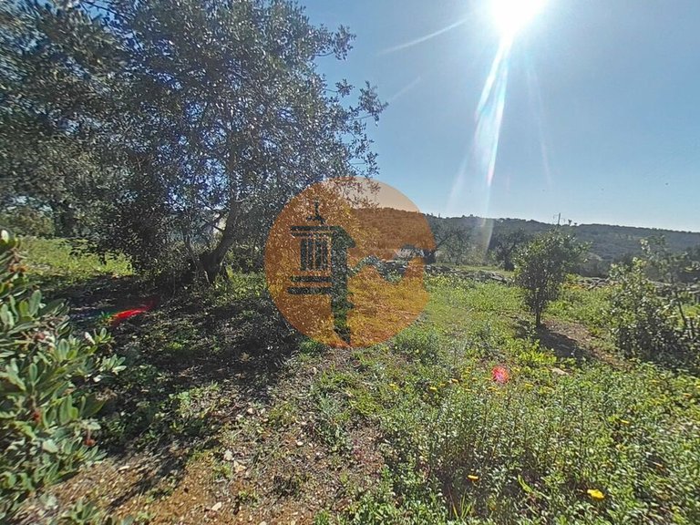 Plot for Sale in Estoi, Algarve, Portugal 9