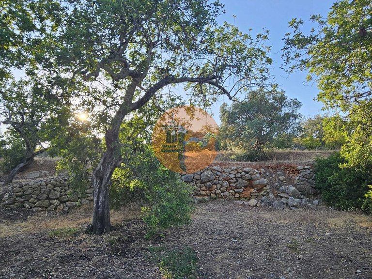 Plot for Sale in Estoi, Algarve, Portugal 2