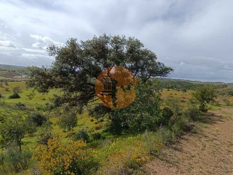 Plot for Sale in Castro Marim, Castro Marim, Portugal 3
