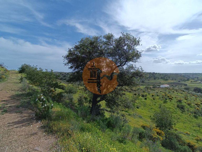 Plot for Sale in Castro Marim, Castro Marim, Portugal 17