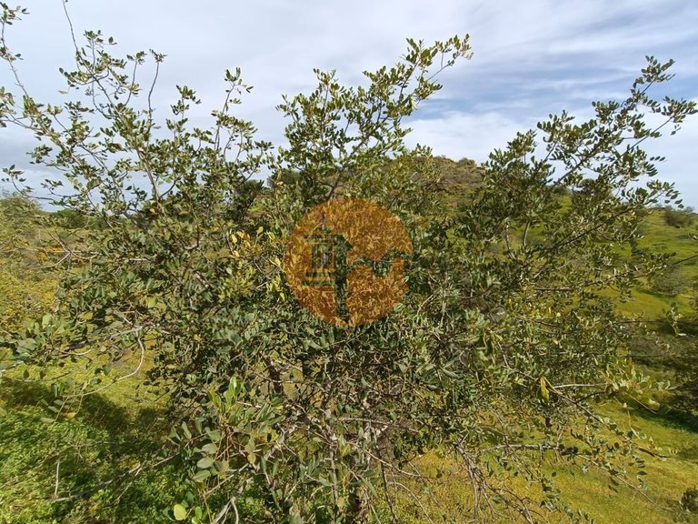 Plot for Sale in Castro Marim, Castro Marim, Portugal 29