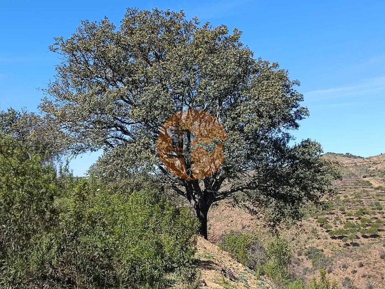 Plot for Sale in Odeleite, Castro Marim, Portugal 3