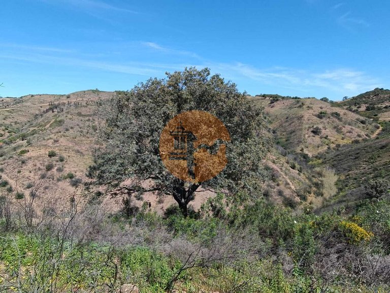 Plot for Sale in Odeleite, Castro Marim, Portugal 15