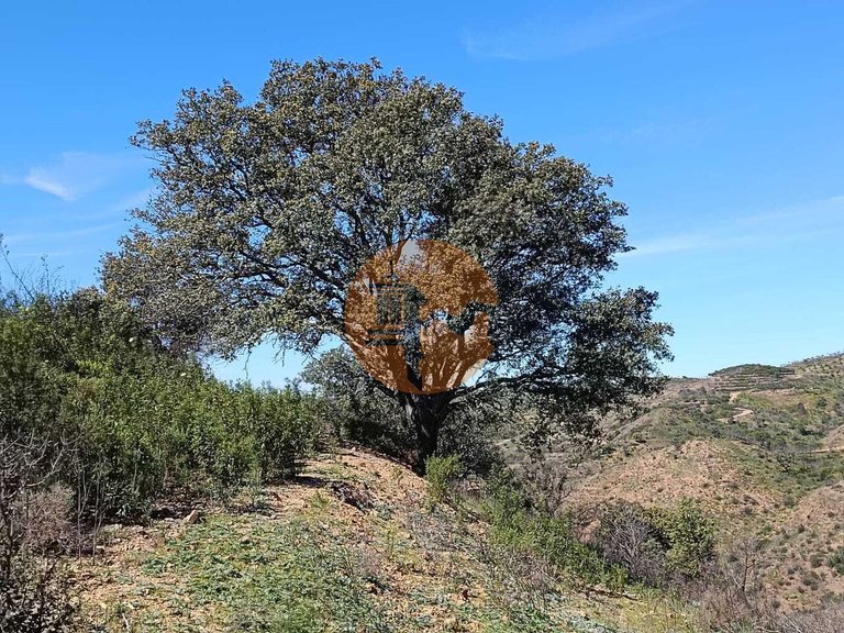 Plot for Sale in Odeleite, Castro Marim, Portugal 20