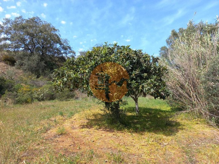 Plot for Sale in Castro Marim, Castro Marim, Portugal 8