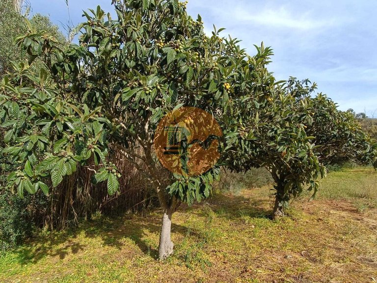 Plot for Sale in Castro Marim, Castro Marim, Portugal 12