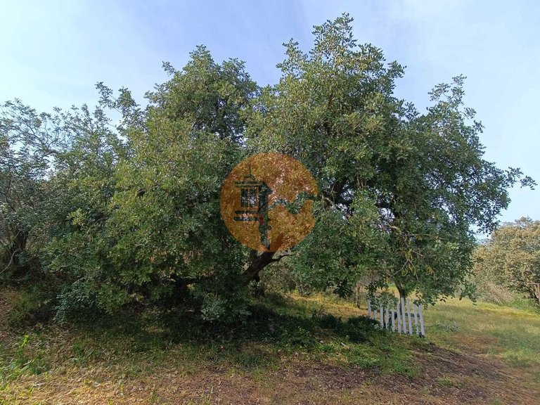 Plot for Sale in Castro Marim, Castro Marim, Portugal 18