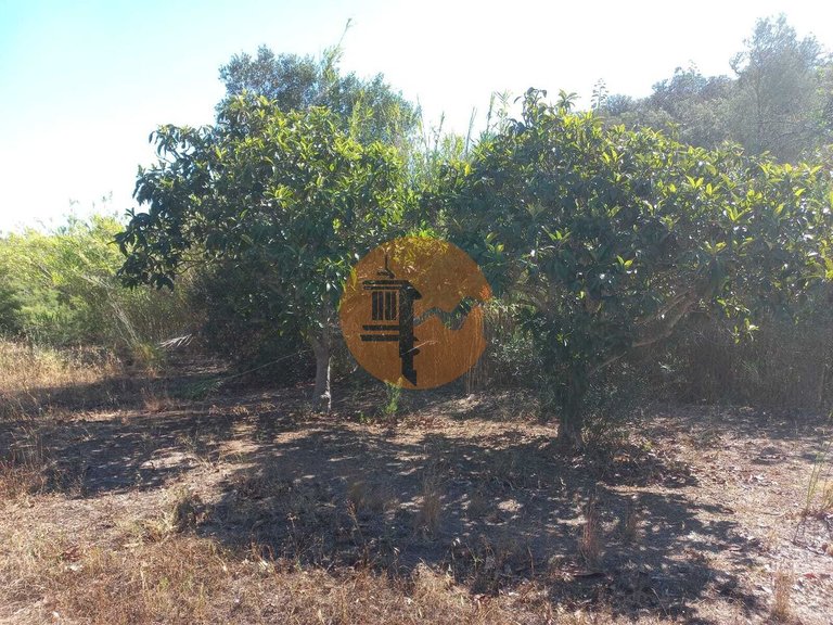 Plot for Sale in Castro Marim, Castro Marim, Portugal 36