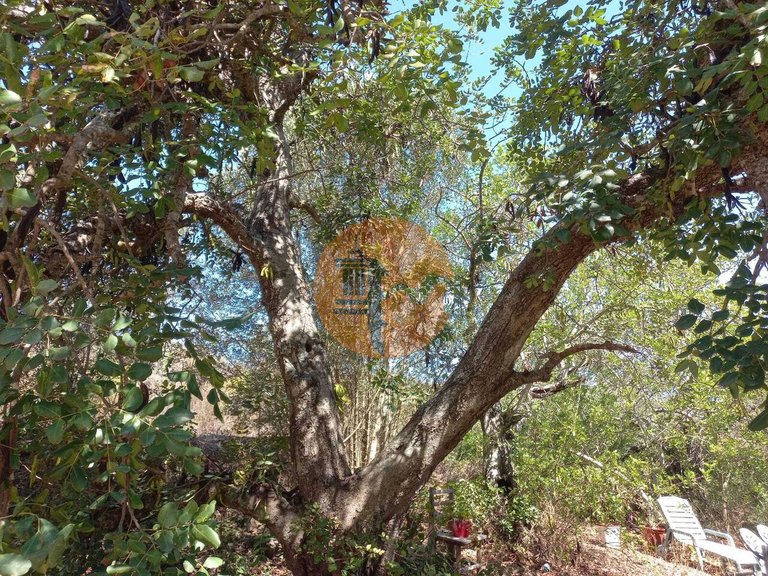 Plot for Sale in Castro Marim, Castro Marim, Portugal 47