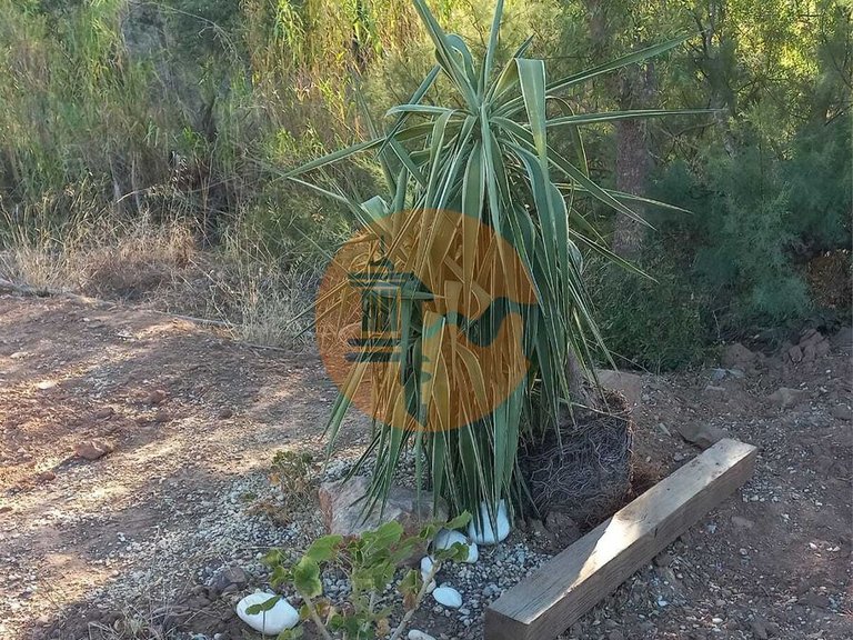 Plot for Sale in Castro Marim, Castro Marim, Portugal 49