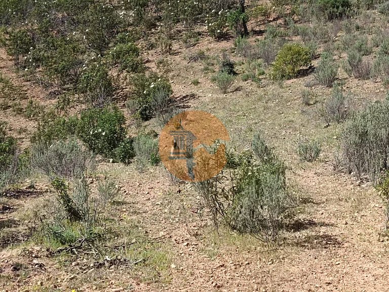 Plot for Sale in Odeleite, Castro Marim, Portugal 8