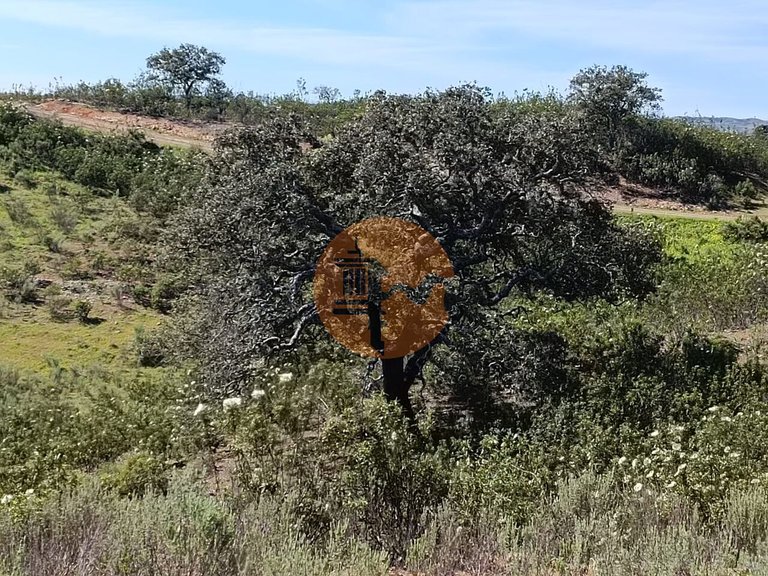 Plot for Sale in Odeleite, Castro Marim, Portugal 10