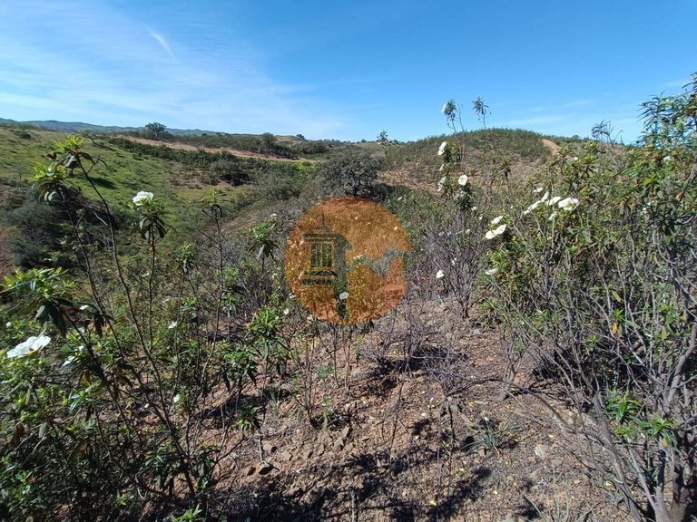 Plot for Sale in Odeleite, Castro Marim, Portugal 11