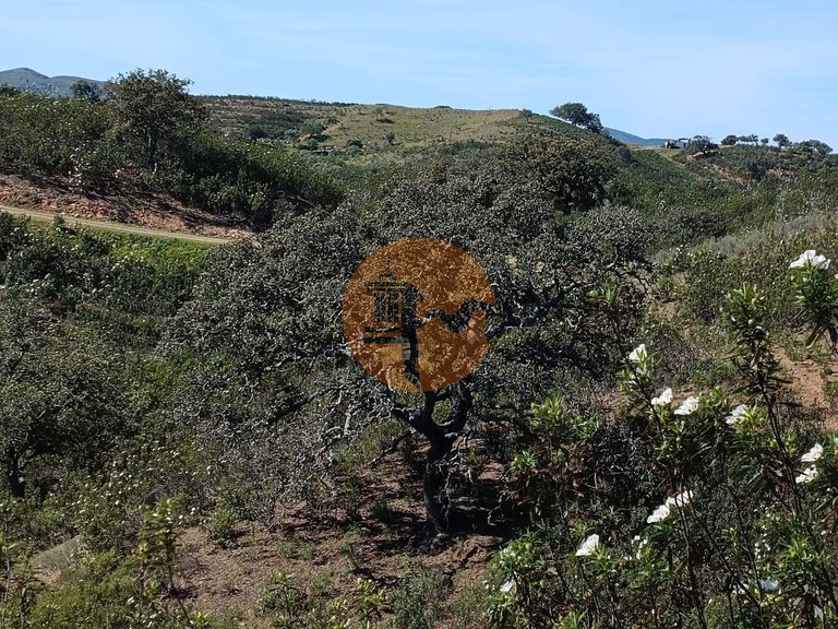 Plot for Sale in Odeleite, Castro Marim, Portugal 17