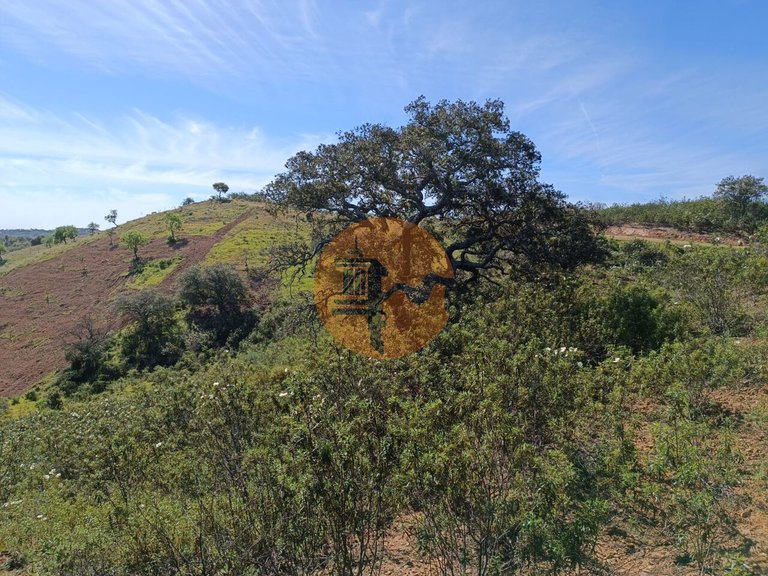 Plot for Sale in Odeleite, Castro Marim, Portugal 18