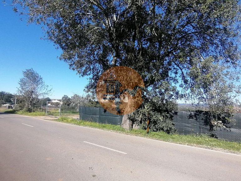 Plot for Sale in Moncarapacho, Olhão, Portugal 1