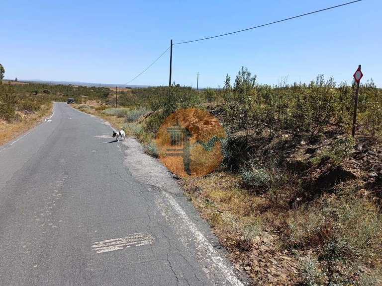Plot for Sale in Odeleite, Castro Marim, Portugal 5