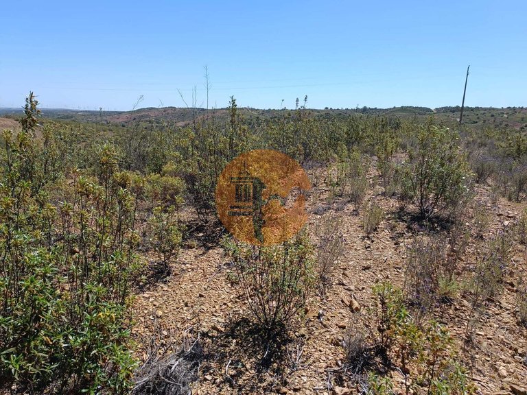 Plot for Sale in Odeleite, Castro Marim, Portugal 6