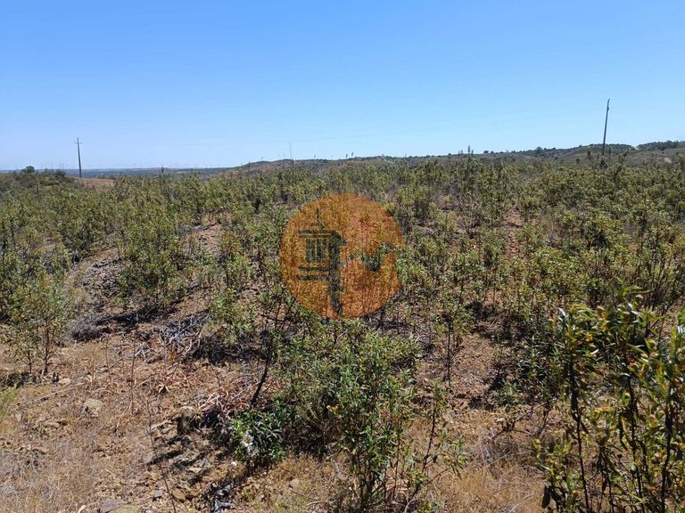 Plot for Sale in Odeleite, Castro Marim, Portugal 8