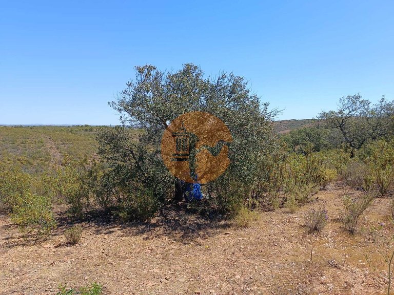 Plot for Sale in Odeleite, Castro Marim, Portugal 1