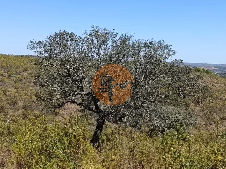 Plot for Sale in Odeleite, Castro Marim, Portugal 30