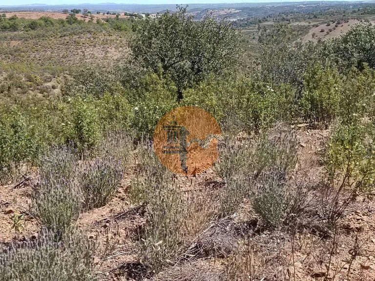 Plot for Sale in Odeleite, Castro Marim, Portugal 33