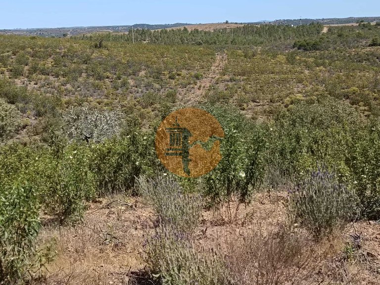 Plot for Sale in Odeleite, Castro Marim, Portugal 34