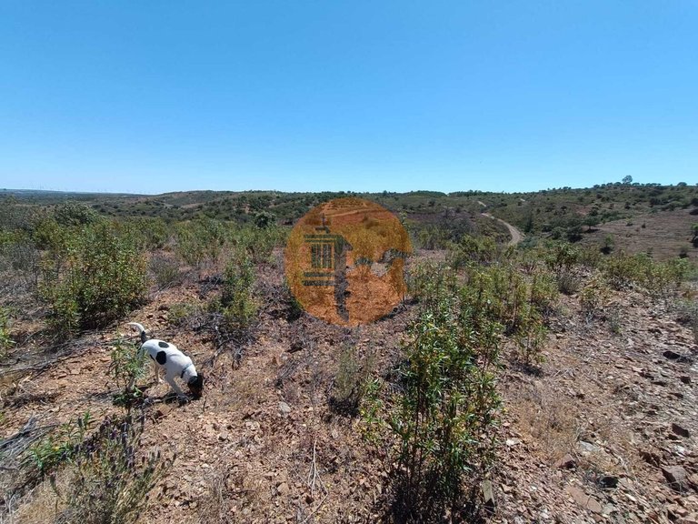 Plot for Sale in Odeleite, Castro Marim, Portugal 37