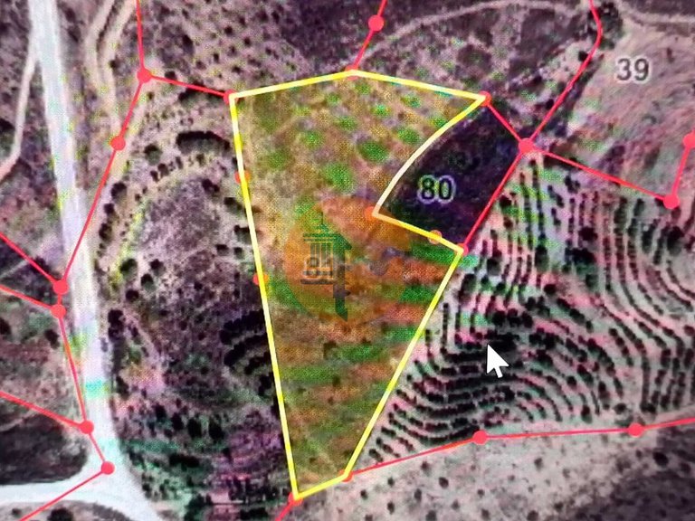 Plot for Sale in Azinhal, Castro Marim, Portugal 2