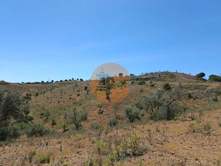 Plot for Sale in Azinhal, Castro Marim, Portugal 5