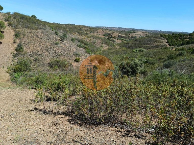 Plot for Sale in Azinhal, Castro Marim, Portugal 12