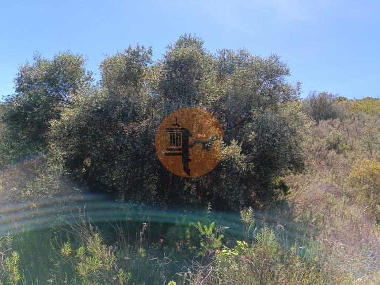 Plot for Sale in Azinhal, Castro Marim, Portugal 26