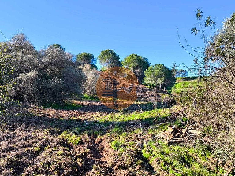Plot for Sale in Azinhal, Castro Marim, Portugal 4