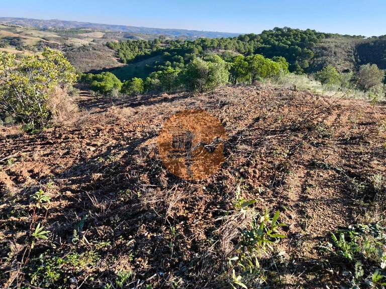 Plot for Sale in Azinhal, Castro Marim, Portugal 13