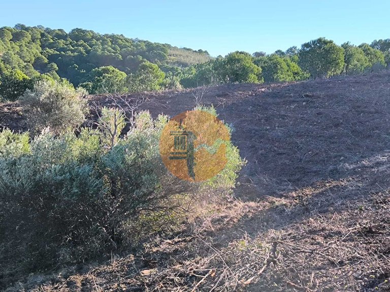 Plot for Sale in Azinhal, Castro Marim, Portugal 14
