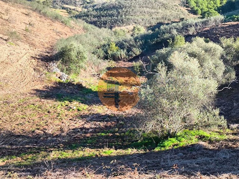 Plot for Sale in Azinhal, Castro Marim, Portugal 16