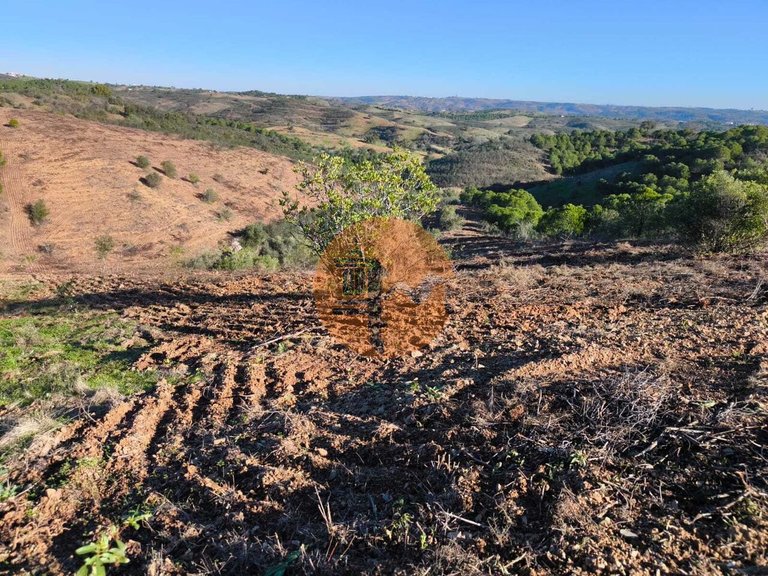 Plot for Sale in Azinhal, Castro Marim, Portugal 17