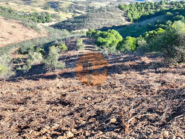 Plot for Sale in Azinhal, Castro Marim, Portugal 19